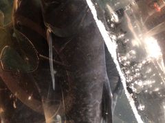 -上名堂·鱼头好吃(体育场路店)