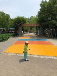 -大望京儿童游乐场