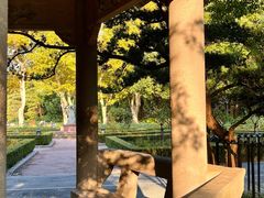 -中山公园