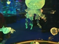 -南昌融创海世界