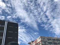 -阳阳中国饭(北京荟聚店)