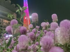 -海心沙亚运公园
