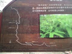 -海南热带雨林国家公园吊罗山景区