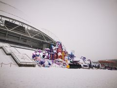 -沈阳奥体冰雪嘉年华