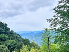 -九华山风景区