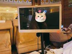 -东方雅典水疗美食汇(金海岸大厦店)