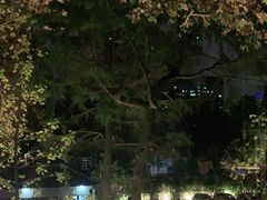 -穹六人间 people 6(岳阳路店)