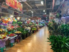-大自然花鸟鱼虫市场