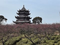 -上海海湾国家森林公园