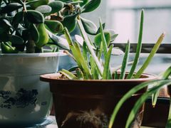 -伊隆斋(什刹海店)