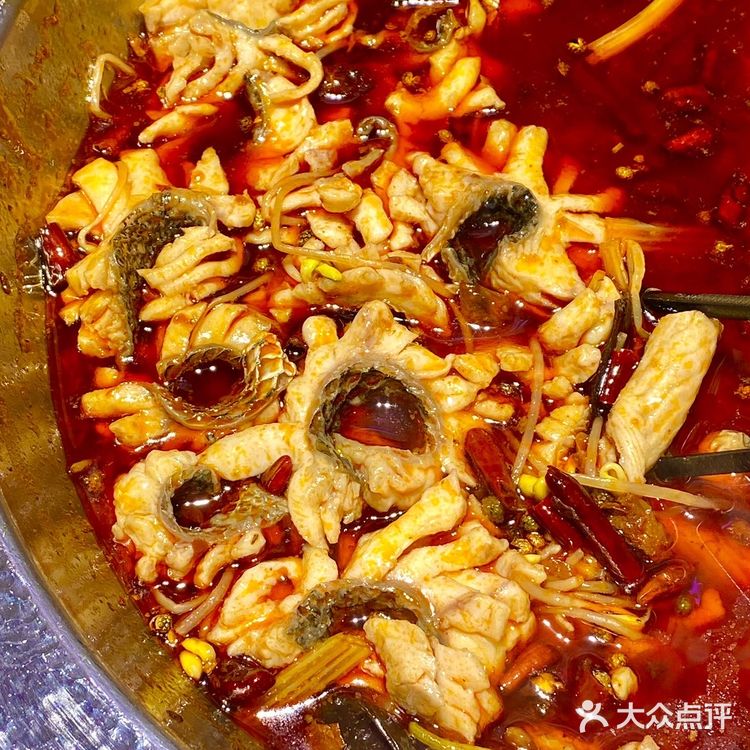 我在成都也吃到了超好吃的乌鱼火锅‼️59·9r鱼蛙混吃不限量！