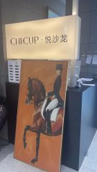 -CHIC 国潮男士发型