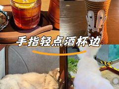 -咖法森林·咖啡  酒吧(天河店)