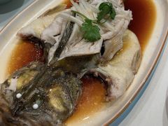 -八珍饺子·烤鸭·家常菜