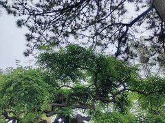 -晋祠公园