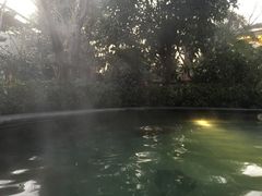 -苏州湾王焰温泉度假酒店