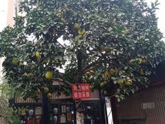 -天怡·鱼工厂(临江店)