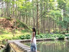 -洛阳白云山景区