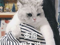 -秋香家韩式炭火烤肉(磐石路店)