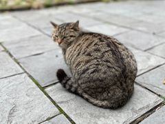 -人民公园-相亲角