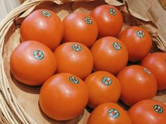 -西贝(科华王府井店)