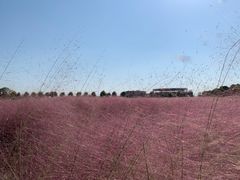 -映月湖中央公园