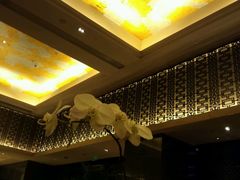 -武汉武昌威斯汀酒店-知味自助餐厅