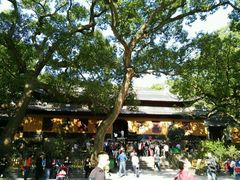 -普陀山风景名胜区-法雨禅寺