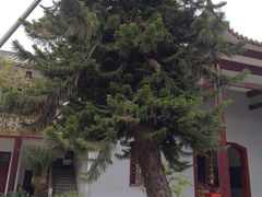 -南华禅寺