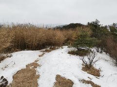 -秦岭风景区
