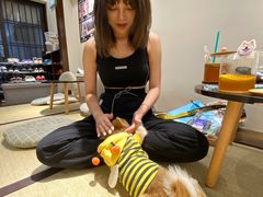 -逗柴咖啡屋·狗咖猫咖宠物桌游