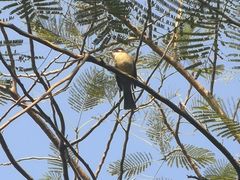 -白沙门生态公园