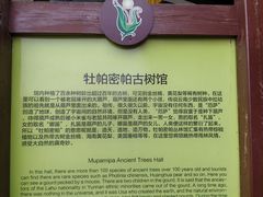 -呀路古热带植物园