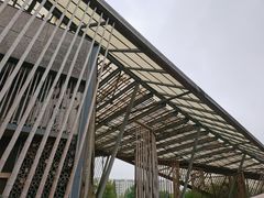 -田园东方蜜桃村的田野营地