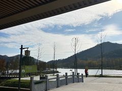 -千年银杏谷文化旅游区