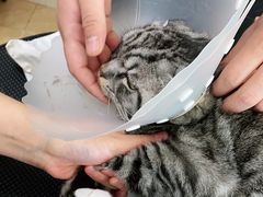 -美联众合动物医院·24h京西诊疗中心