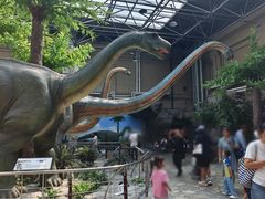 -国家自然博物馆