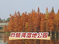 -白鹭湾湿地公园