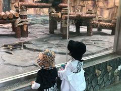 -泉州海丝野生动物世界