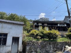 -四明山国家森林公园
