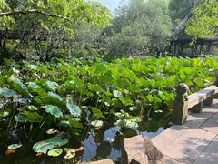 -上海醉白池公园