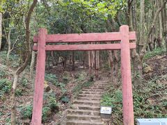 -广州市石门国家森林公园