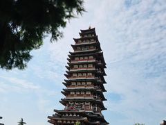 -微山湖红荷湿地景区