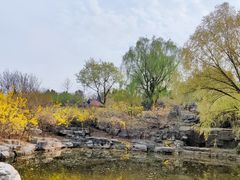 -北京西山国家森林公园