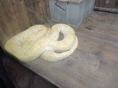 -太原动物园