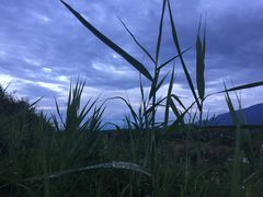 -青峰峡国家森林公园