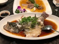 清蒸鲈鱼-金碧轩粤菜海鲜大酒楼