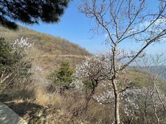 -北京西山国家森林公园