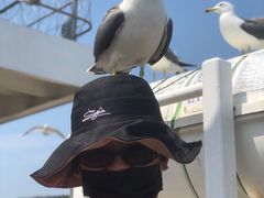 -海驴岛(荣成市)