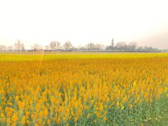 -中国天府农业博览园